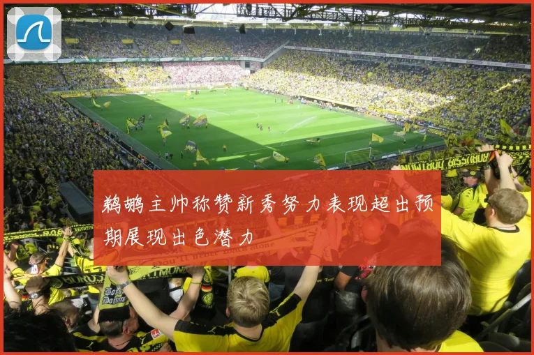 鹈鹕主帅称赞新秀努力表现超出预期展现出色潜力